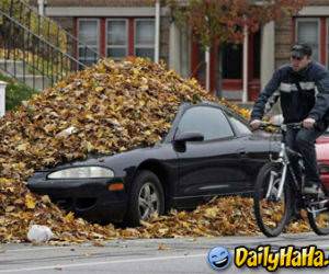 Uh I dont know what to put here for once