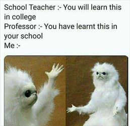 learn this in school