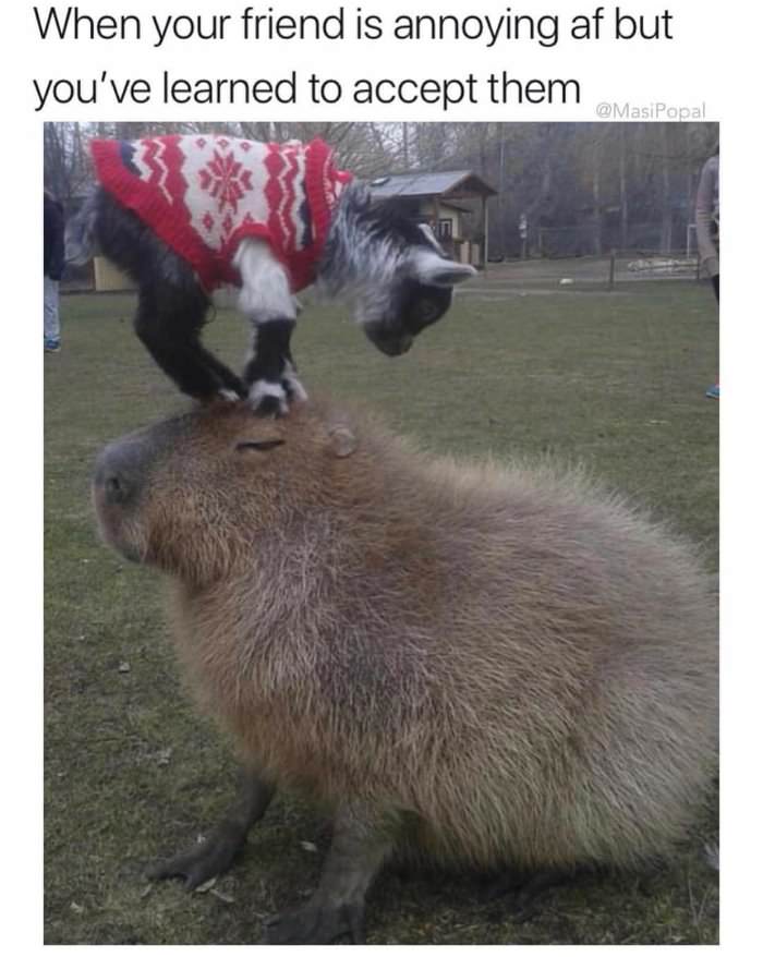 learn to accept them