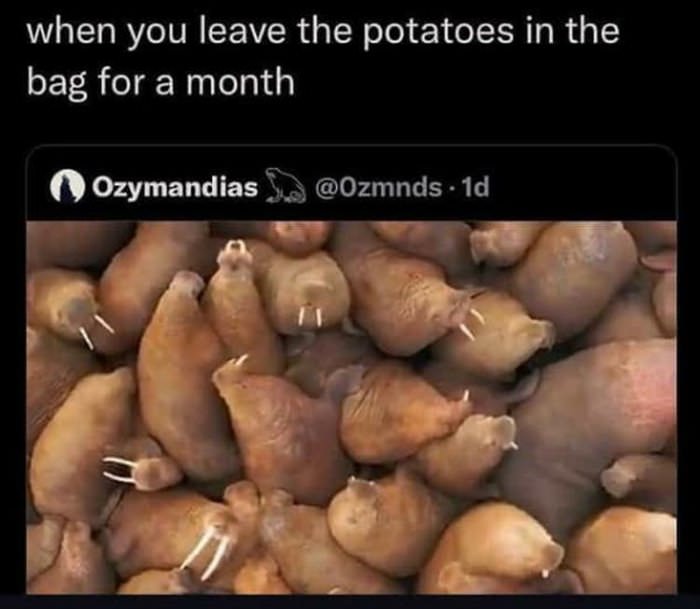 leave potatoes