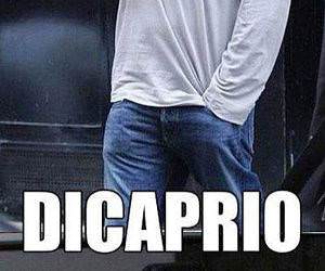Leonardo Dicaprio in Stealth Mode funny picture