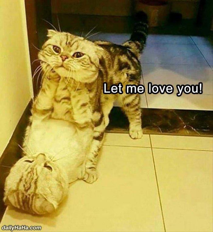let me love you funny picture