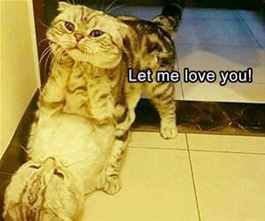 let me love you funny picture