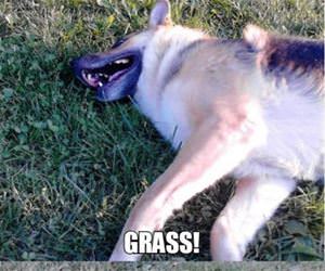 let me tell you a joke funny picture