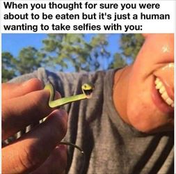 lets take some selfies