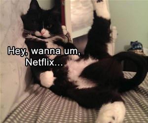 lets netflix funny picture