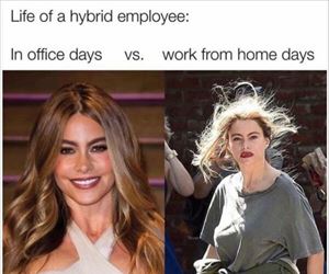 life of a hybrid