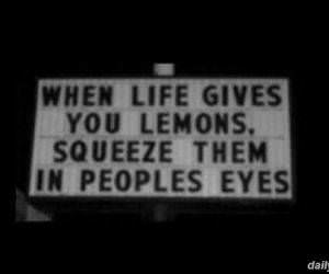 life gives you lemons funny picture
