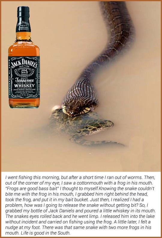 life is good in the south funny picture