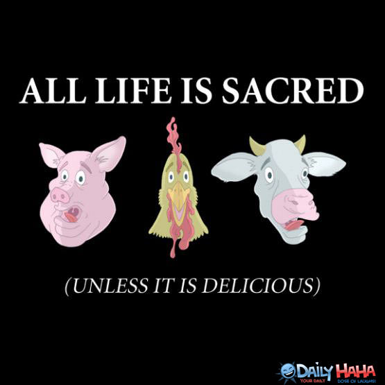 Life is Sacred