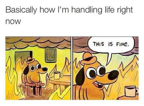 life right now funny picture