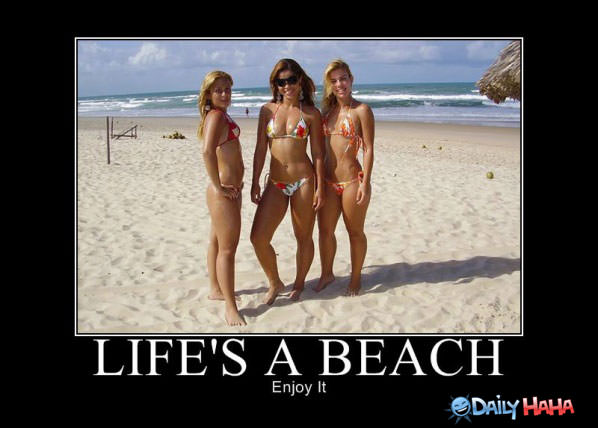 Lifes A Beach funny picture