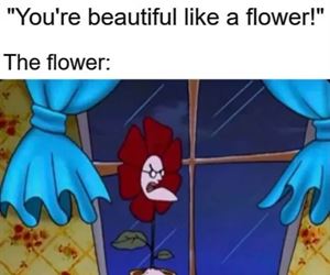 like a flower