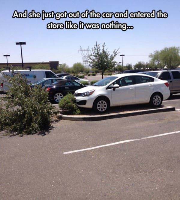 like a boss parking only funny picture