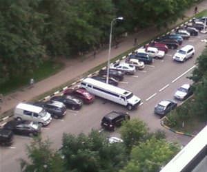 like a glove funny picture