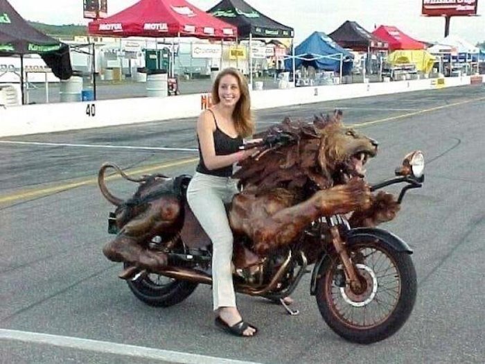 lion bike