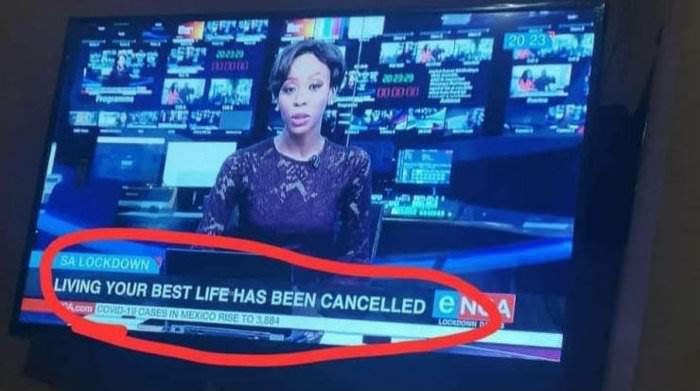 living your best life