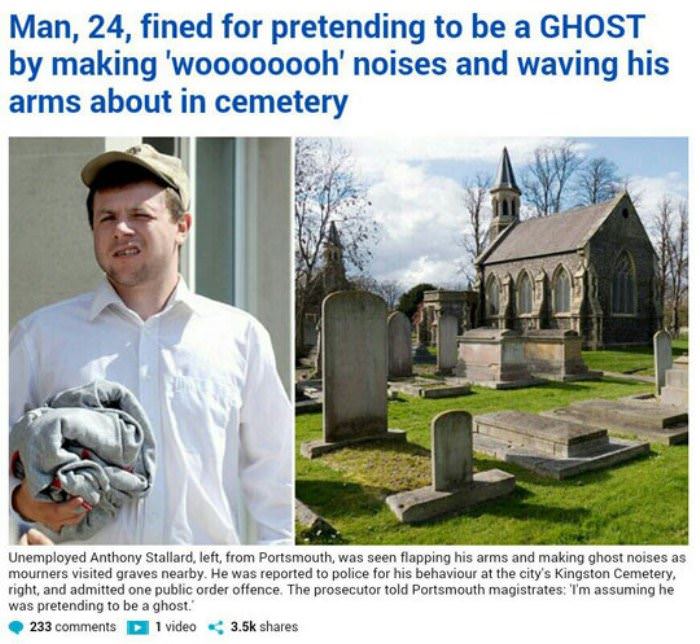 living the dream funny picture