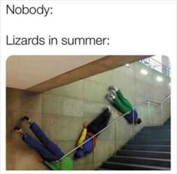 lizards ... 2