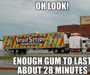 look at all that gum