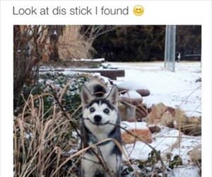 look at dis stick i found