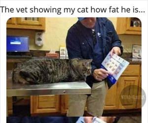 look how fat you are