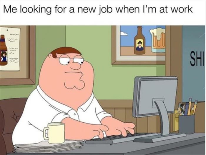 looking for a new job