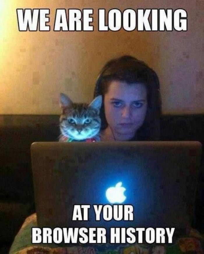 looking at your history funny picture