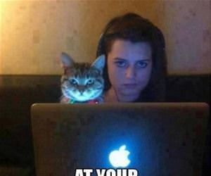 looking at your history funny picture