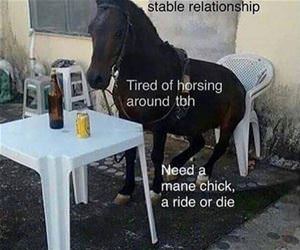 looking for a stable relationship funny picture