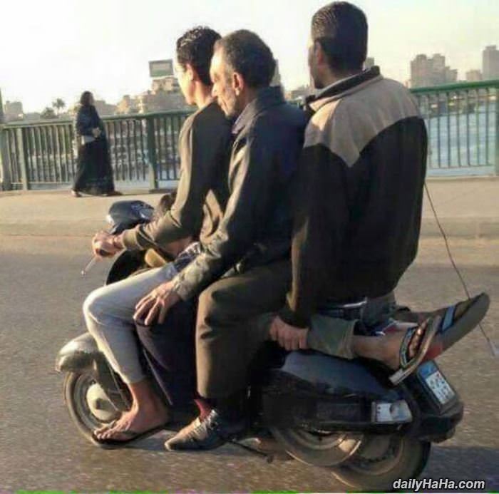 looks comfortable funny picture