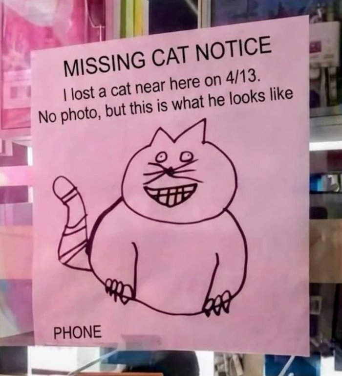 lost my cat