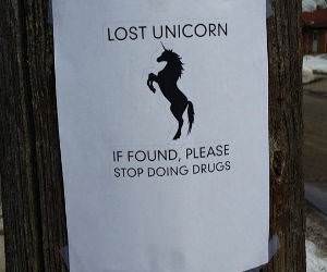 Lost Unicorn funny picture