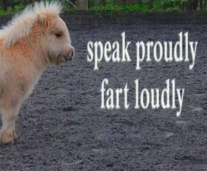 loudly and proudly