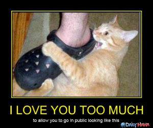 So Much Love funny picture