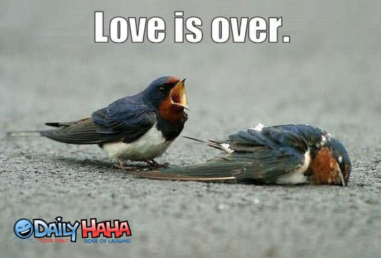 love is over