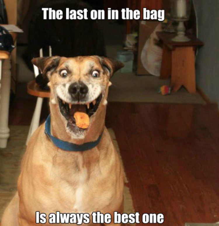 last one in the bag funny picture