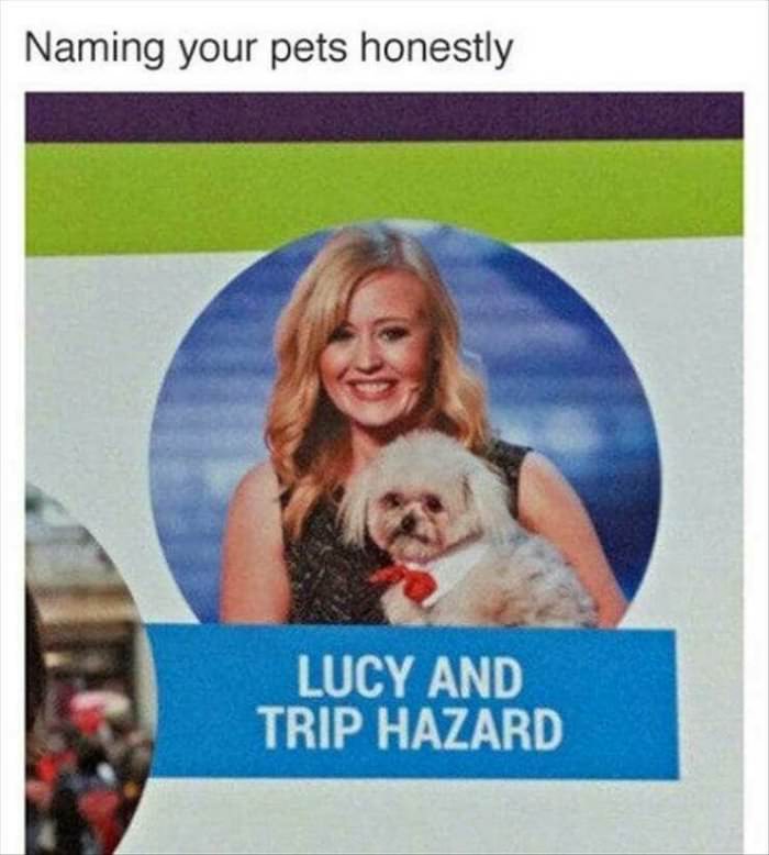 lucy and trip hazard
