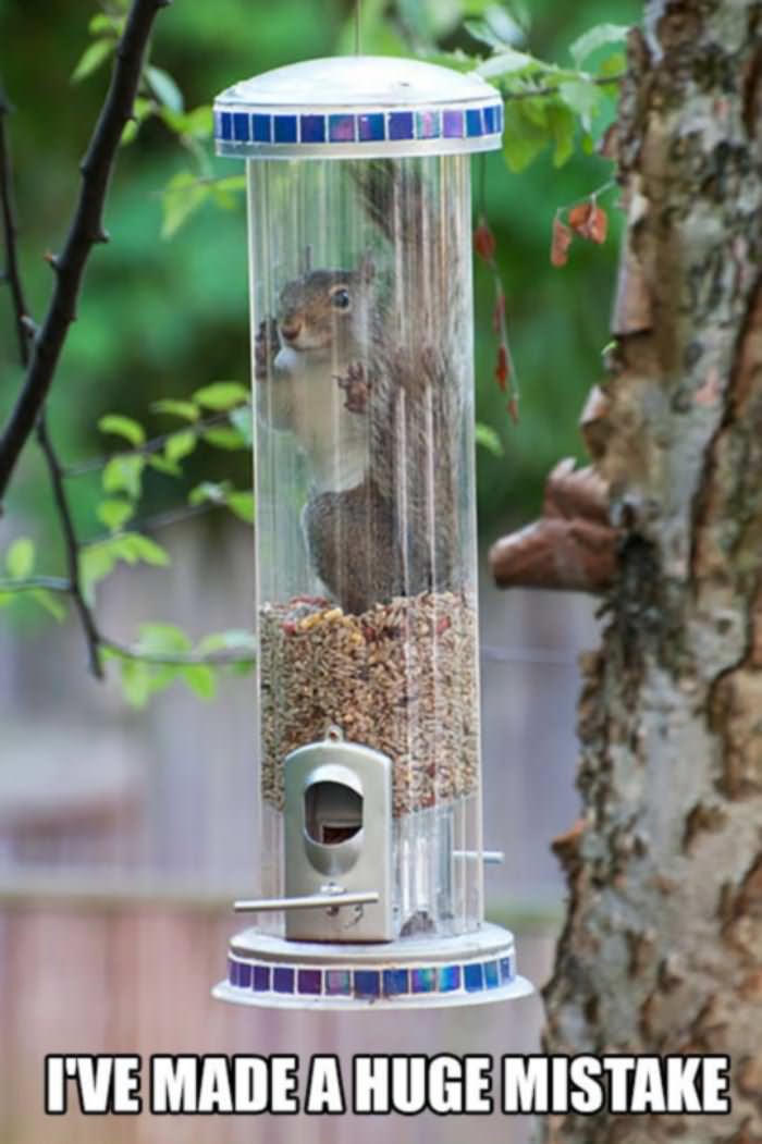 made a huge mistake funny picture