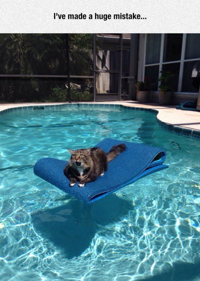 made a huge mistake funny picture