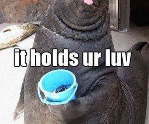 Mah Bucket Funny Picture