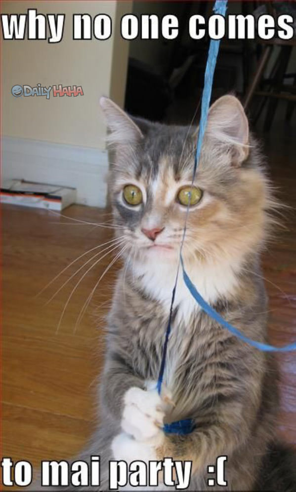 MAi Party funny picture