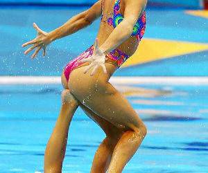 Majestic Sport funny picture