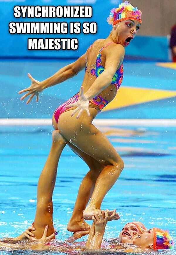 Majestic Sport funny picture