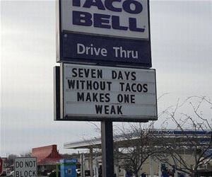 makes one weak funny picture