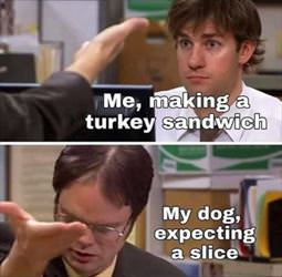 making a sandwich