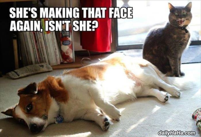 making that face again funny picture