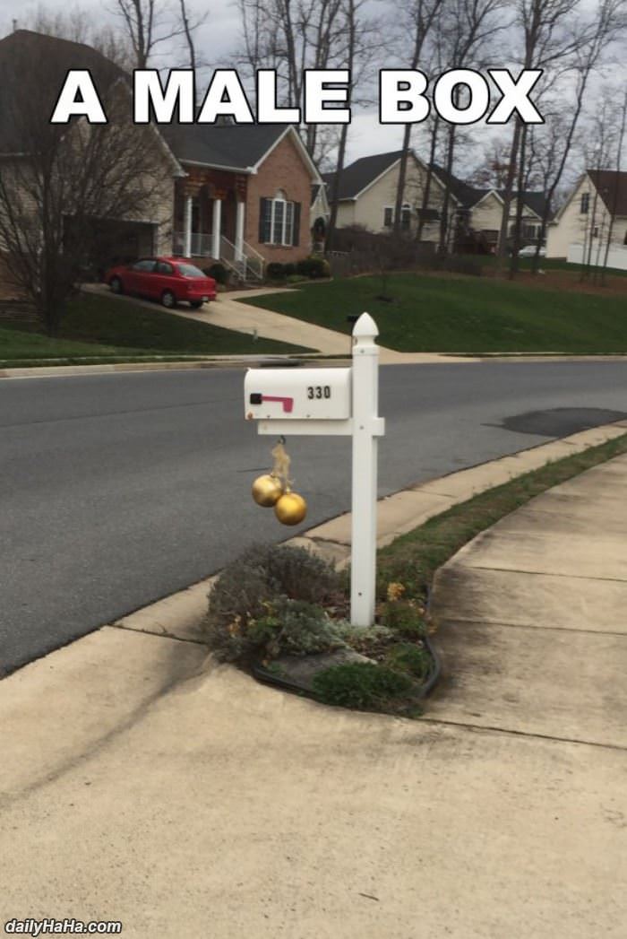 male box funny picture