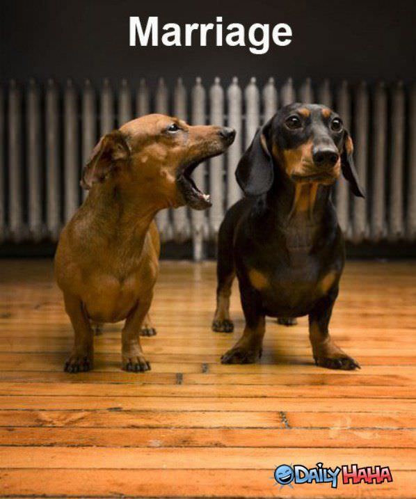 Marriage funny picture