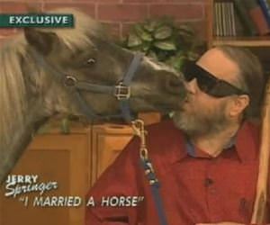 married a horse funny picture